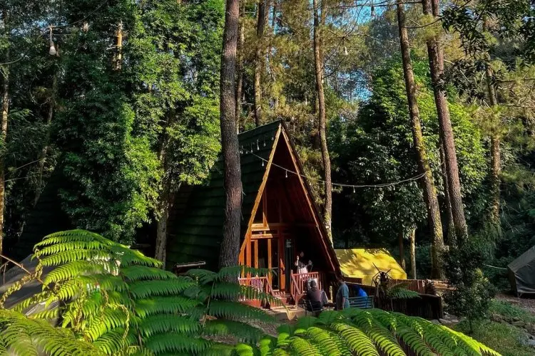 5 Rekomendasi Glamping Estetik di Puncak Bogor