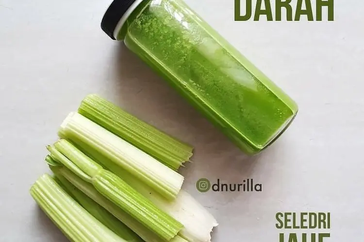 Segarnya Seledri, Rahasia Tubuh Sehat: 8 Manfaat Jus Ajaib yang Wajib Anda Tahu!