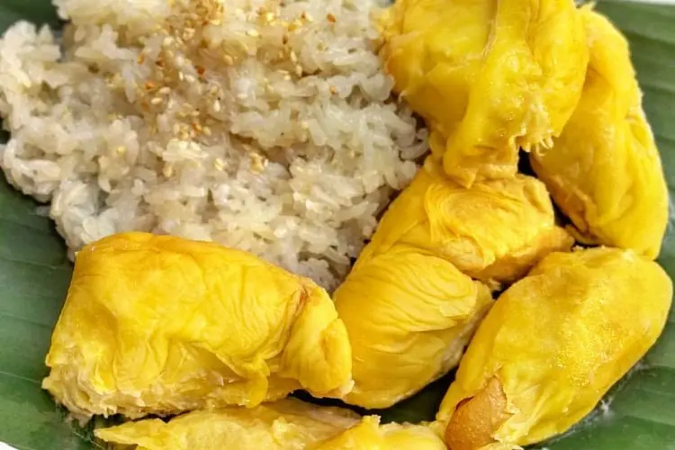Rahasia Nikmatnya Ketan Durian: Resep Legit, Creamy, dan Lumer yang Dijamin Bikin Nagih Tanpa Ribet, Cukup Pakai Rice Cooker!