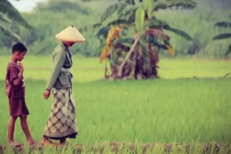 Ribuan Hektare Sawah Tadah Hujan di KBB Diprediksi Kekeringan pada Musim Kemarau Tahun Ini