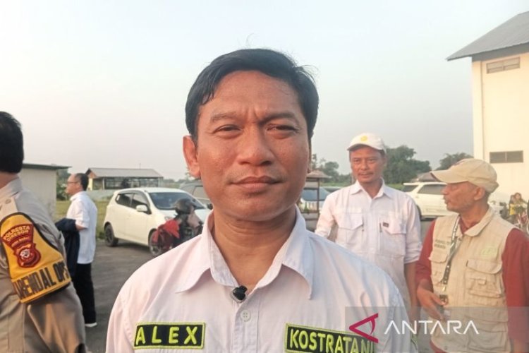 Distan Cirebon Kembangkan Ubi Jalar jadi Komoditas Ekspor