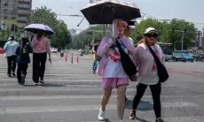 Gelombang Panas Melanda Korea Selatan, Ratusan Orang Dirawat di Rumah Sakit