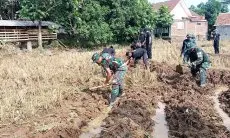 Tingkatkan Ketahanan Pangan di Desa Kubang, Satgas TMMD Bantu Petani Kelola Sawah