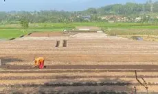 Pemkab Garut Siapkan Asuransi Jiwa Seribu Petani