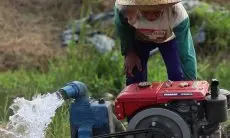 Produksi Padi Jabar Berpotensi Meningkat Lewat Pompanisasi, Ini Sebabnya Kata DTPH Jabar