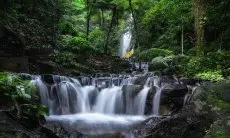 Jelajah Wisata Tersembunyi di Trawas Mojokerto: 6 Destinasi Murah Meriah yang Wajib Kamu Kunjungi!