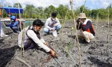 Jalankan Komitmen Pertamina, Pertamina Foundation Lakukan Upaya Reforestasi dan Konservasi untuk Umur Bumi Lebih Panjang