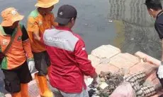 Siapakah Jasad Wanita Bercelana Kotak-kotak yang Terapung di Kali Sentiong?