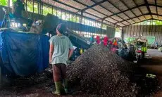 Festival LIKE 2024, PLN Bangun Ekonomi Kerakyatan Lewat Program Co-Firing Biomassa