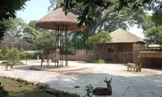 Sambut HUT ke-79 RI, Kebun Binatang Bandung Beri Tiket Gratis