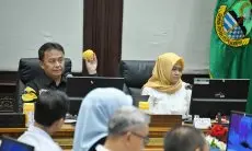 Keren... Oktober, Mangga Gedong Gincu Ekspor Perdana ke Jepang