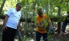 FOTO: Eling Earth Festival di Babakan Siliwangi Bandung