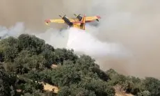 Miris... Jutaan Hektare Hutan Terbakar di Seluruh Dunia