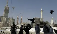 Merpati Tak Pernah Ingkar Janji di Masjid Haram dan Nabawi