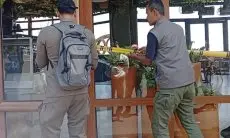 Ultimatum Pemilik Bangunan Tanpa IMB, Satpol PP: Jumat, Alat Berat Menuju Kawasan Puncak