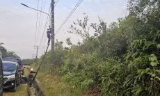 PLN Icon Plus dan Diskominfo Kota Bandung bekerja sama untuk memperindah Kota dan meningkatkan kualitas lingkungan