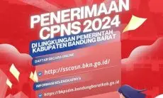Pemda KBB Kembali Buka Seleksi CPNS Tahun 2024, ini Formasi dan Link Pendaftarannya