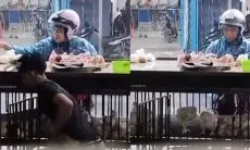 Emak-emak di Medan Terciduk Curi Ayam, Ternyata Aksinya Tak Hanya Dilakukan Sekali