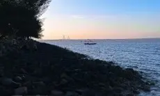 5 Destinasi di Surabaya: Wisata Alam Sejuk yang Bikin Kamu Ketagihan dan Lupa Jalan Pulang!