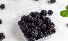 8 Manfaat Blackberry, Superfood yang Mampu Tingkatkan Kesehatan Otak hingga Baik untuk Jantung