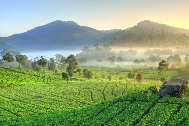 7 ‘Surga’ Tersembunyi di Majalengka yang Wajib Kamu Jelajahi untuk Liburan Tak Terlupakan!