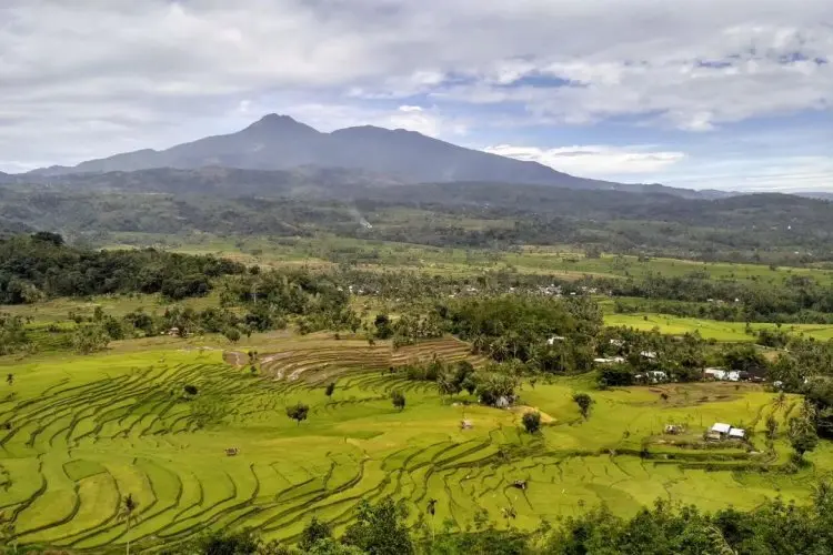 6 Destinasi Wisata di Solok yang Wajib Kamu Jelajahi: Petualangan Alam dan Budaya yang Tak Terlupakan