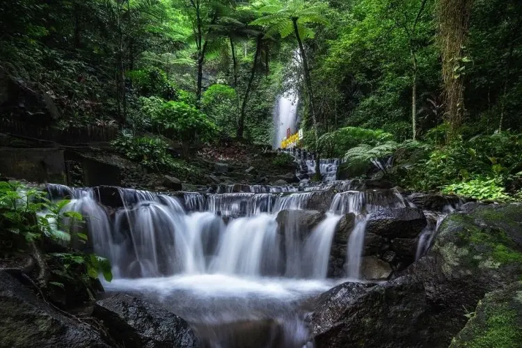 Jelajah Wisata Tersembunyi di Trawas Mojokerto: 6 Destinasi Murah Meriah yang Wajib Kamu Kunjungi!