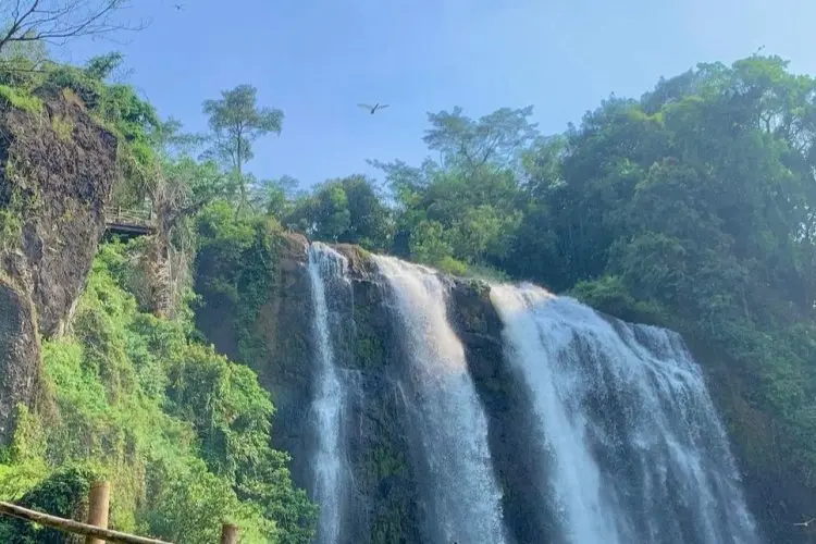 5 Air Terjun Memukau di Kendal yang Wajib Kamu Kunjungi