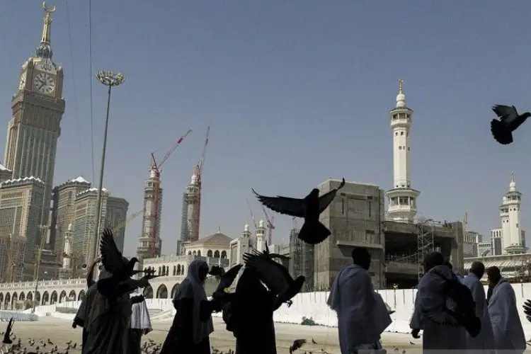 Merpati Tak Pernah Ingkar Janji di Masjid Haram dan Nabawi