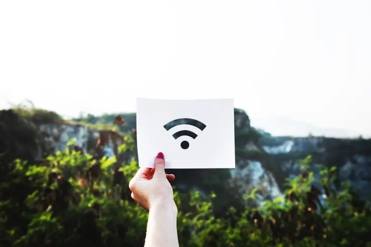 Lupa Password WiFi? Tenang! Begini Cara Mudah Mengetahuinya Hanya dalam Sekejap di HP Anda
