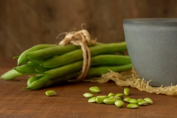 Manfaat Kacang Panjang: Superfood untuk Kesehatan Jantung dan Pengendalian Kolesterol