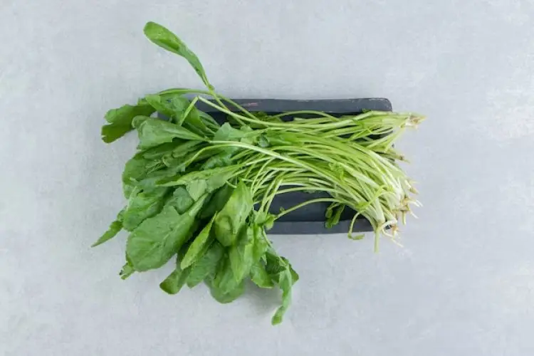 Manfaat Kangkung, Superfood untuk Tingkatkan Pertumbuhan Rambut