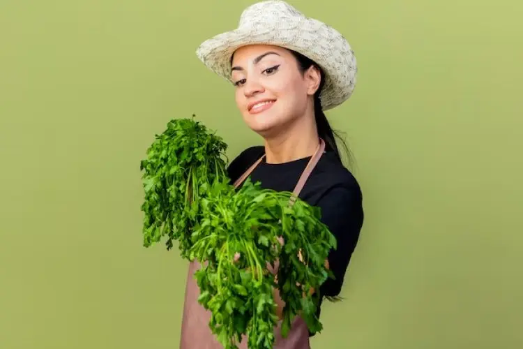 Tips Memanfaatkan Kangkung agar Rambut Tebal dan Sehat