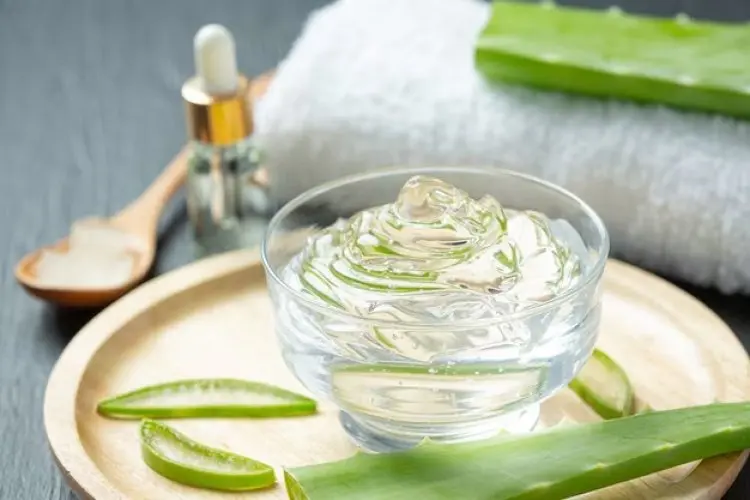Cara Efektif Atasi Ruam dan Gatal-gatal dengan Memanfaatkan 7 Pengobatan Alami Aloe Vera