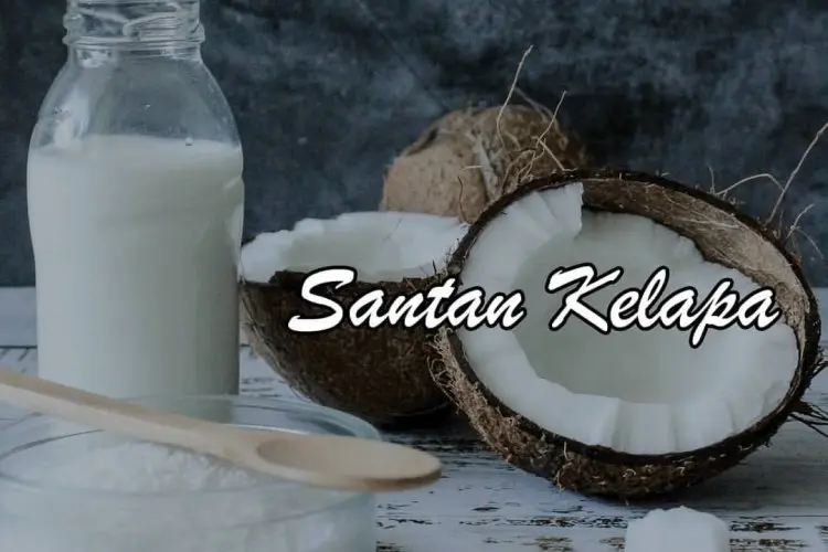 Santan Nggak Lagi Pecah! Rahasia Jitu Masak Santan Tanpa Ribet, Dijamin Hasilnya Creamy dan Menggoda Selera!