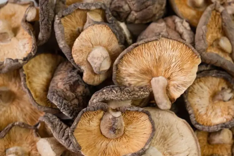 8 Manfaat Jamur Shiitake, Superfood yang Baik untuk Kesehatan Tubuh