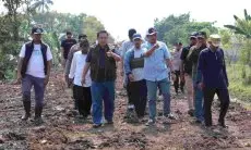Duh, 4.246 Hektare Sawah di Kabupaten Bekasi Terancam Kekeringan