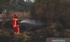 Jangan Bakar Sampah Sembarangan, Sehari di Cianjur Terjadi Empat Lokasi Kebakaran Hutan