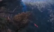Api di Kawasan Hutan Gunung Tangkuban Parahu Belum Padam, Pemda KBB Minta BNPB Terjunkan Helikopter Water Bombing