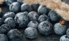 Kecil tapi Hebat, 7 Manfaat Luar Biasa dari Blueberry untuk Kesehatan Anda