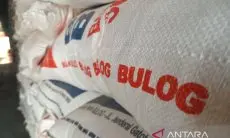 Bulog Serap 76 ribu Ton Hasil Panen Petani Lokal Ciayumajakuning