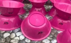 Mangkuk Plastik Kusam dan Bau? Hilangkan Seketika dengan 5 Trik Ampuh Ini! Dijamin Kinclong dan Wangi Seharian!