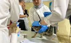 DKPP Kota Bandung Gelar Vaksin Rabies Gratis