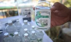 Kota Bandung Kembangkan Sorgum Jadi Energi Baru Terbarukan