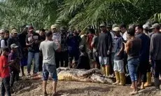 Tak Pulang-pulang Juga dari Memancing, Pria Ini Ternyata Ditemukan Tewas di Mulut Buaya
