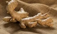 Temukan Manfaat Ginseng India untuk Kulit Sehat dan Awet Muda
