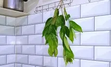 Kolesterol Tinggi Bikin Resah? Tenang! 3 Jenis Daun Ini Bisa Jadi Solusi Alami yang Mudah Dibuat di Rumah