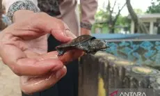 Tingkatkan Kunjungan Turis, Pemkab Cirebon Bentuk 24 Desa Wisata Baru