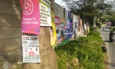Lewat Tiga Aturan ini, DLH Cimahi Ingatkan Paslon untuk Tidak Pasang APK di Pohon