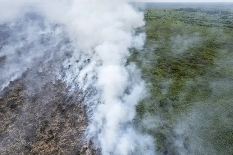 86 Hektar Lebih Lahan di Jabar Alami Kebakaran, Imbas Musim Kemarau